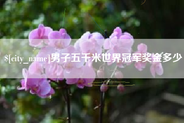驻马店男子五千米世界冠军奖金多少