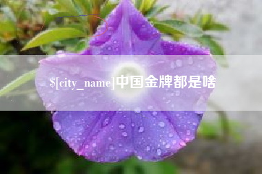 驻马店中国金牌都是啥