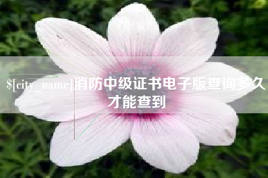 驻马店消防中级证书电子版查询多久才能查到