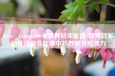 驻马店5000米世界冠军配速-世界冠军们往往能在比赛中巧妙地分配体力