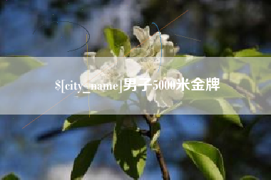 驻马店男子5000米金牌