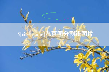 驻马店九宫图分割线图片