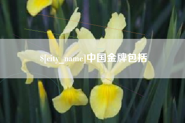 驻马店中国金牌包括