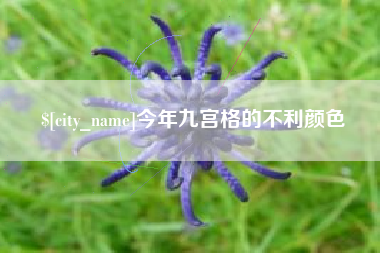 驻马店今年九宫格的不利颜色