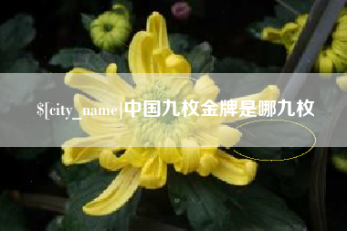驻马店中国九枚金牌是哪九枚