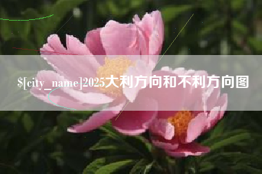 驻马店2025大利方向和不利方向图