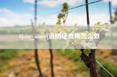驻马店消防证查询怎么查