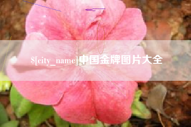 驻马店中国金牌图片大全