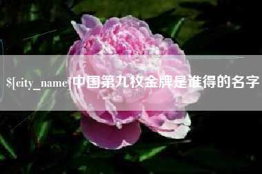 驻马店中国第九枚金牌是谁得的名字