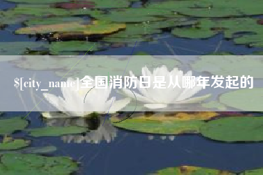 驻马店全国消防日是从哪年发起的