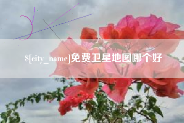 驻马店免费卫星地图哪个好