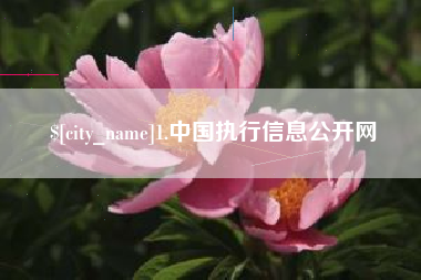 驻马店1.中国执行信息公开网