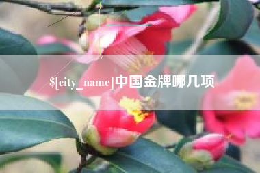 驻马店中国金牌哪几项