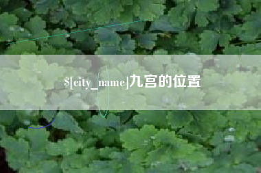 驻马店九宫的位置