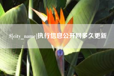 驻马店执行信息公开网多久更新