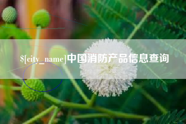 驻马店中国消防产品信息查询
