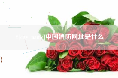 驻马店中国消防网址是什么
