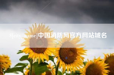 驻马店中国消防网官方网站域名