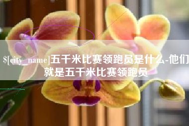 驻马店五千米比赛领跑员是什么-他们就是五千米比赛领跑员