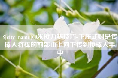 驻马店60米接力赛技巧-下压式则是传棒人将棒的前部由上向下传到接棒人手中
