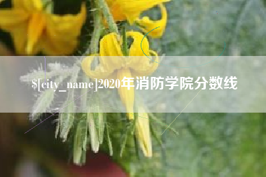 驻马店2020年消防学院分数线