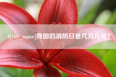 驻马店我国的消防日是几月几号？