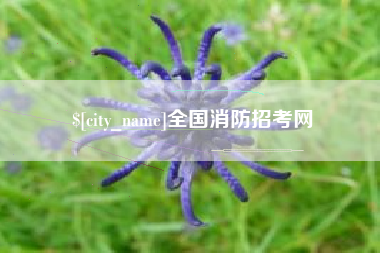 驻马店全国消防招考网