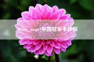 驻马店中国冠军手抄报