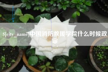 驻马店中国消防救援学院什么时候政审
