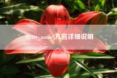 驻马店九宫详细说明