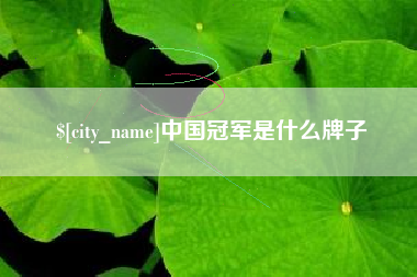 驻马店中国冠军是什么牌子