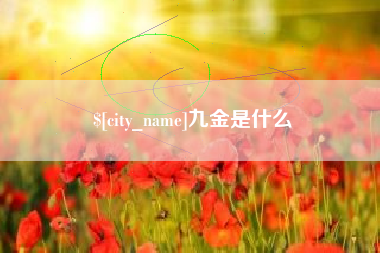 驻马店九金是什么