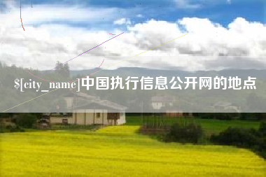 驻马店中国执行信息公开网的地点