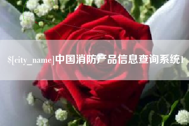 驻马店中国消防产品信息查询系统1