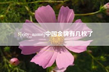 驻马店中国金牌有几枚了