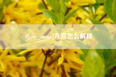 驻马店九宫怎么解释