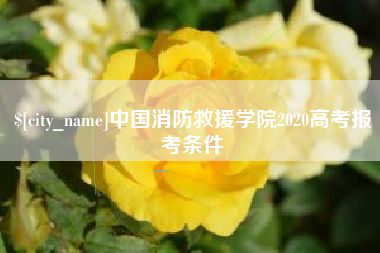 驻马店中国消防救援学院2020高考报考条件