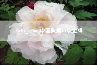 驻马店中国队第八块金牌