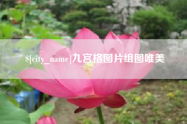 驻马店九宫格图片组图唯美