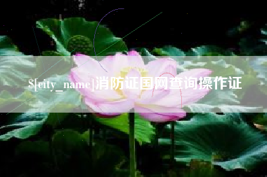 驻马店消防证国网查询操作证