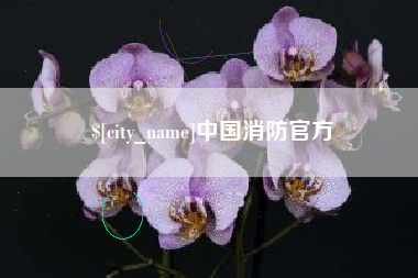 驻马店中国消防官方