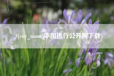 驻马店中国执行公开网下载
