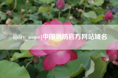 驻马店中国消防官方网站域名