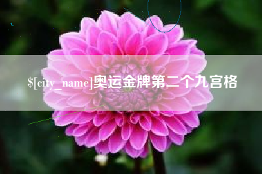 驻马店奥运金牌第二个九宫格