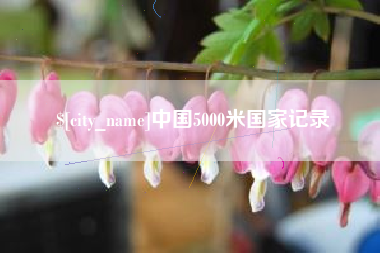 驻马店中国5000米国家记录