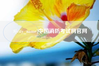 驻马店中国消防考试网官网