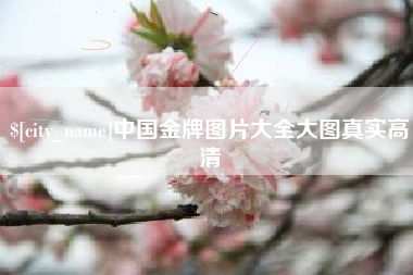 驻马店中国金牌图片大全大图真实高清