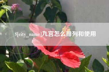 驻马店九宫怎么排列和使用