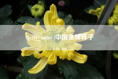 驻马店中国金牌样子