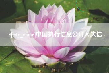 驻马店中国执行信息公开网失信